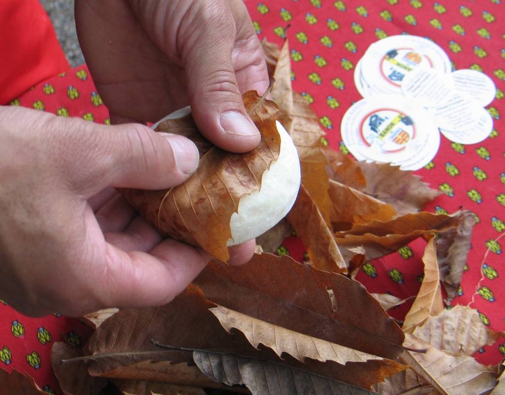 fromage de chèvre banon feuilles de châtaigner